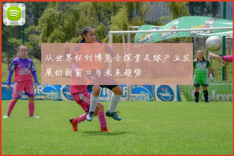 从世界杯到博览会探索足球产业发展的新窗口与未来趋势